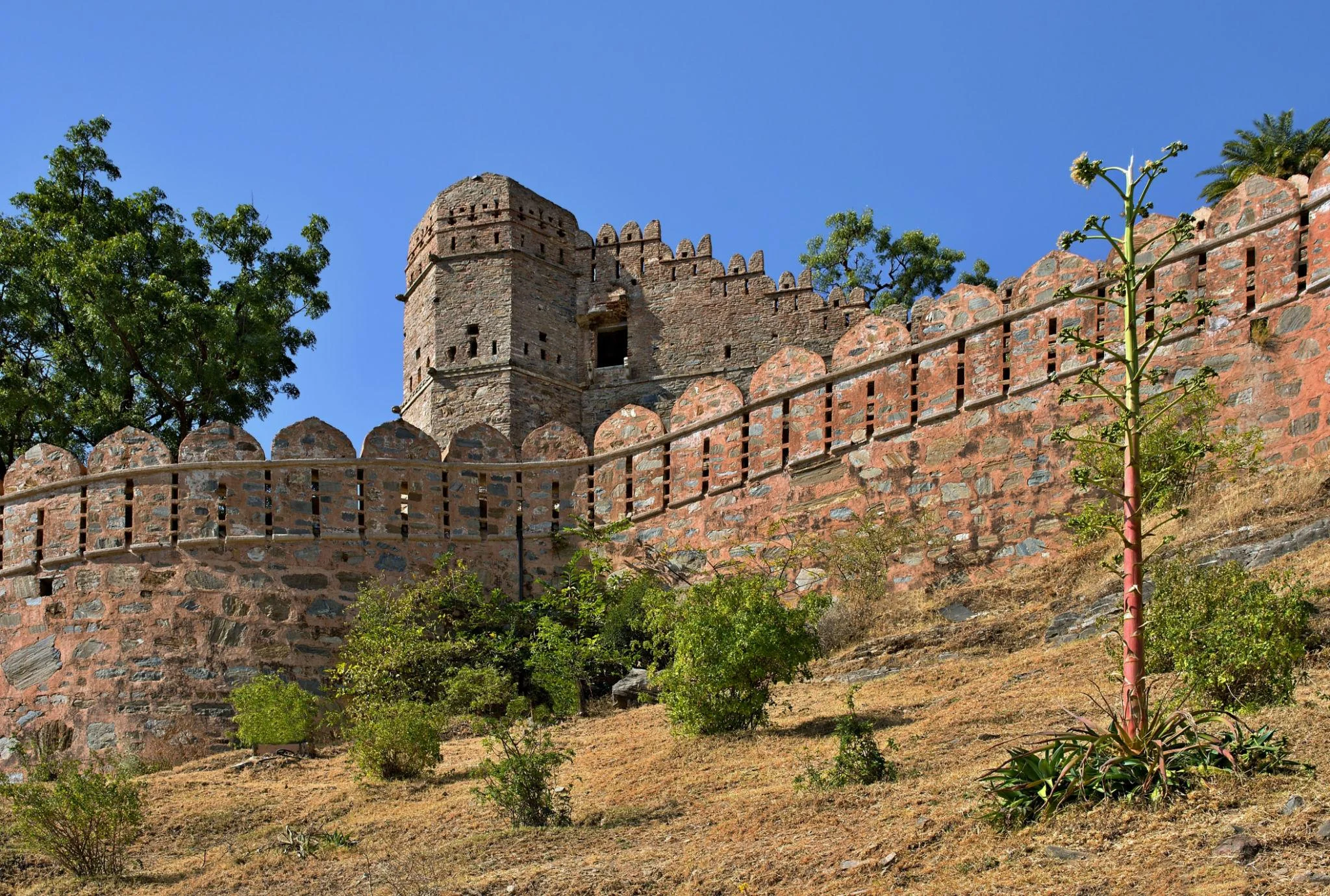 Kumbhalgarh Fort Image 4