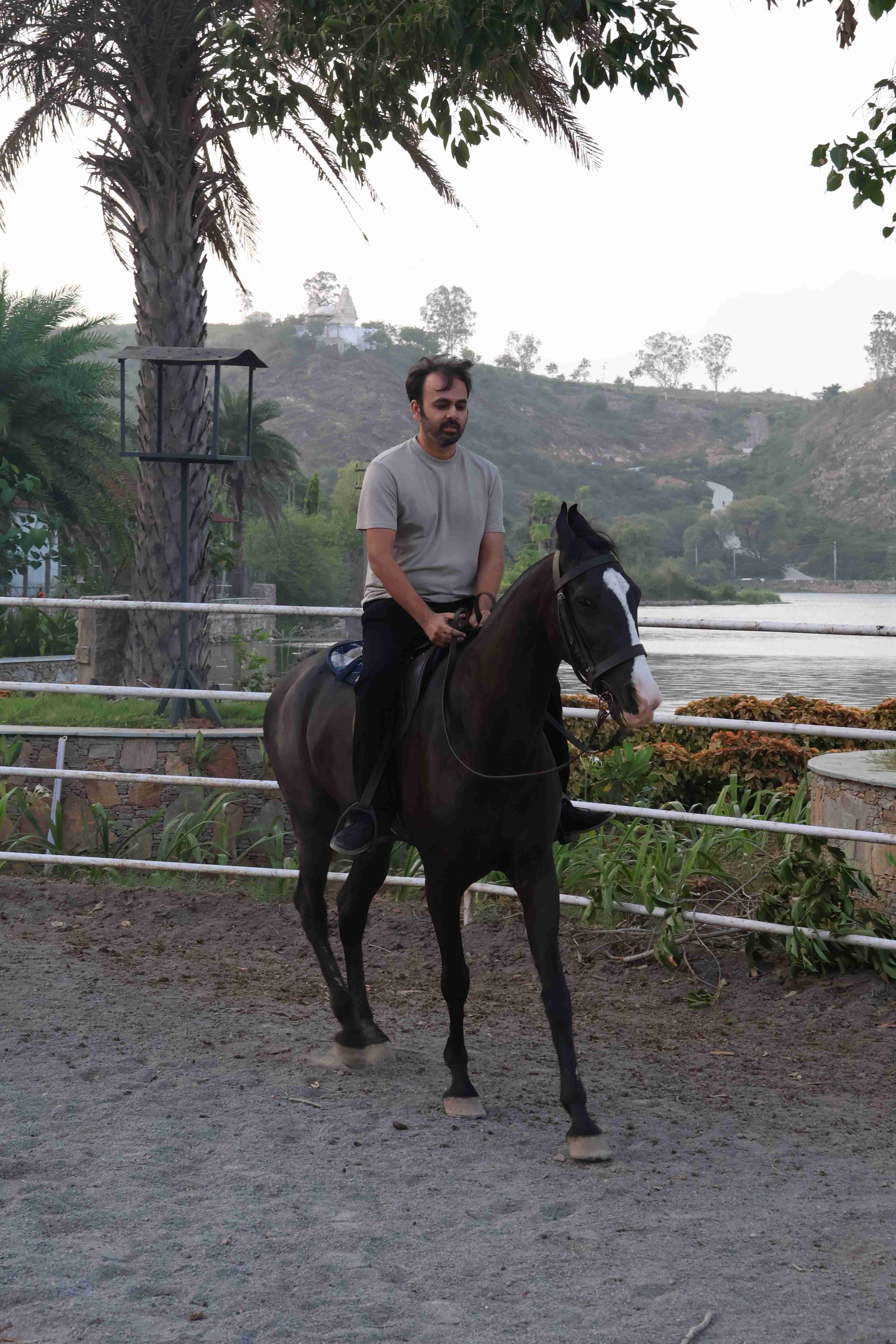 Horse-Riding - Photo 2