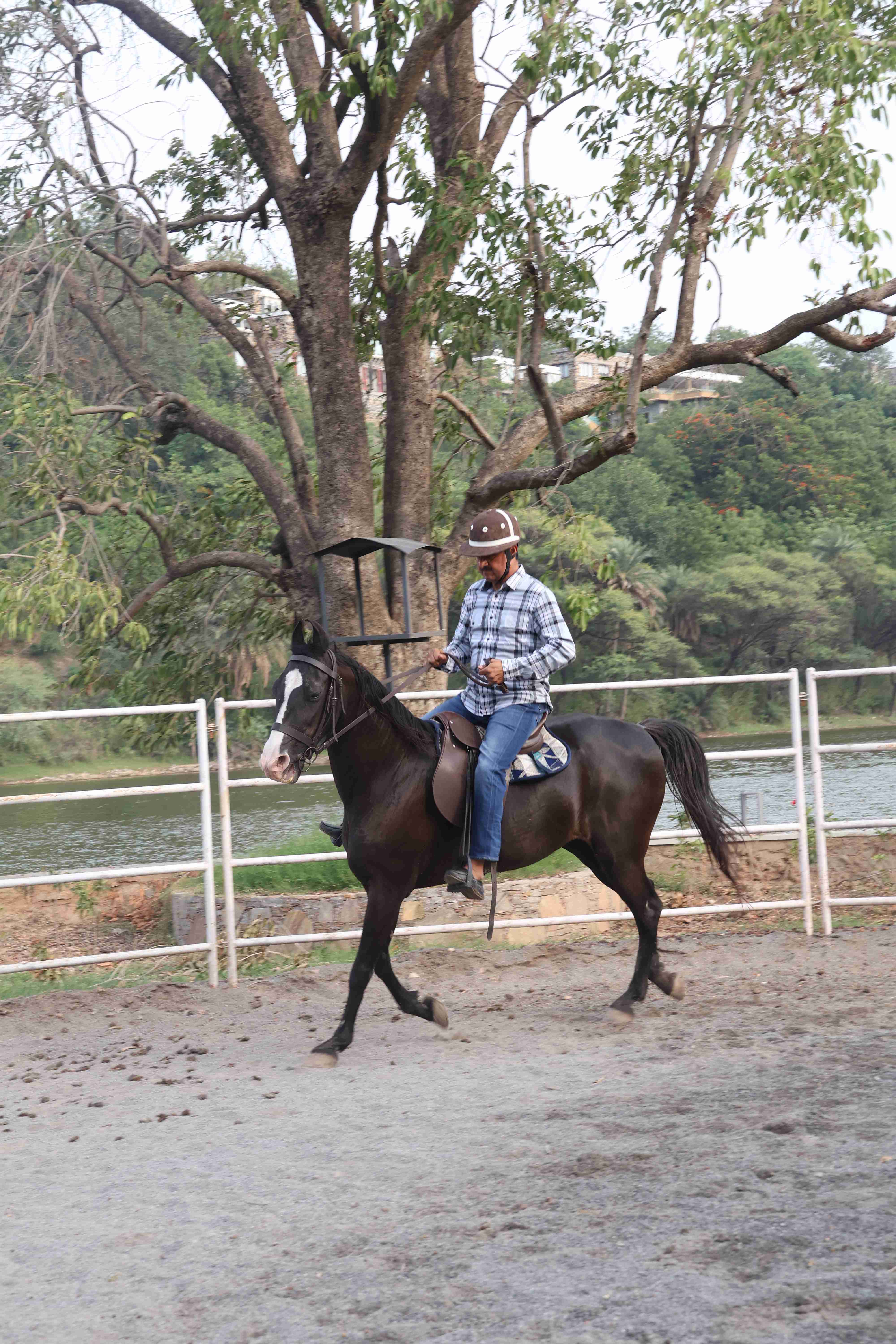 Horse-Riding - Photo 3
