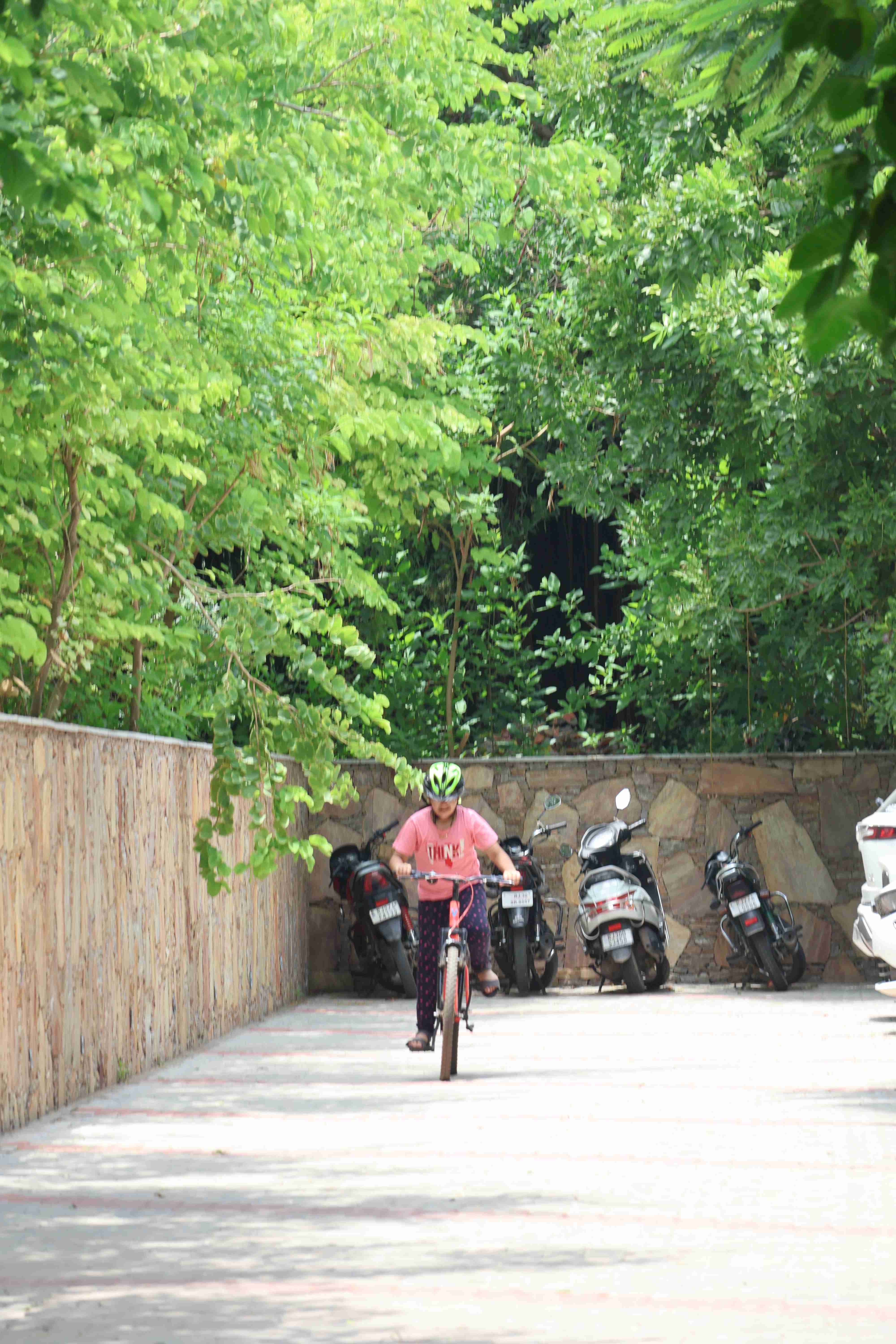 E-Cycle - Photo 2
